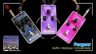 Foxgear: Muffin + Maitresse + Echosex Baby *** Rockway Preview