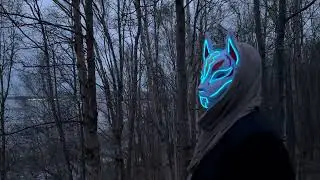 Mystery Shadow Fox IX - Part One: Inter-Dimensional Gateway