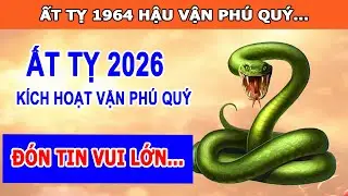 Tử Vi 2026 Tuổi Ất Tỵ 1965 Kích Hoạt Vận Phú Quý Tiền Bạc Đến Không Ngừng, Đón Tin Vui Lớn
