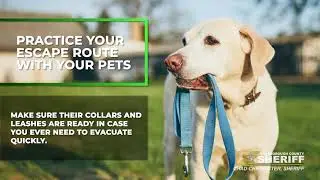 National Pet Fire Safety Day
