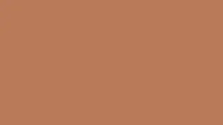 One Hour Video Brown Screen