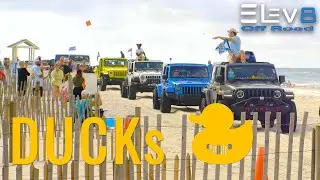 Ducks from Florida Jeep Jam 2025 Beach Crawl