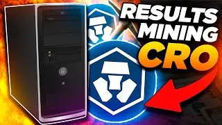 Результаты CPU Mining CRO за 1 месяц