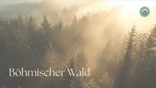 Klangreise B&ouml;hmischer Wald &ndash; Stille, Nebel & tiefe Ruhe | Ambient & Chillout