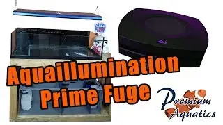 Tank Series-  AI Prime Fuge...& Science!