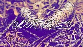 Alex Jordahl - Let You Go (Prod. Steezefield)