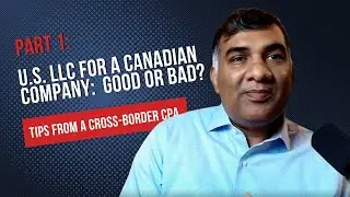 Part 1: U.S. LLC For Canadians Doing Business in the U.S.  Good or Bad?