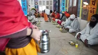 Magh Purnima Special Sadhu & Sanyasi Annadaan Sewa