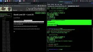 OverTheWire - BANDIT Level 28  - 29 | Secrete din istoricul GIT in Linux | Barbos Security #45
