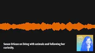 Lit Up - Susan Orlean on living with animals and following her curiosity.