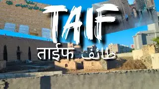Taif city Visit ( 14 to 19 Nov.) | MAS Hajj and Umrah Group | Md Zakariya khan #Vlog48