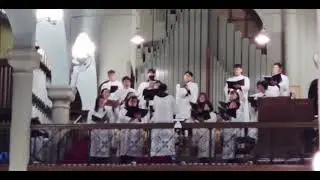 2026.1.18(일)_연중 제2주일(가해)_영성체후찬미가_주여 임하소서 - L. Mason