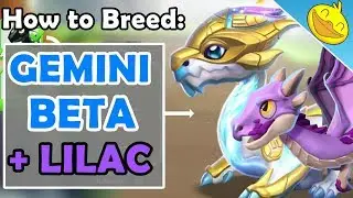 New GEMINI BETA Chain Breeding Event Guide! How to Breed LILAC + GEMINI BETA! - DML #1158