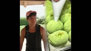 🤣👌👌👌2026 pov Must-Watch Crazy Clips Compilation #humor #fypシ #pov #fyp #foryou #funny 😍😜