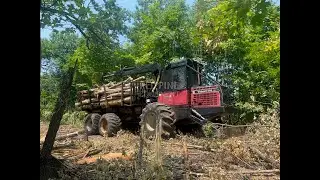 1995 Valmet 546 WoodStar Series II Forwarder