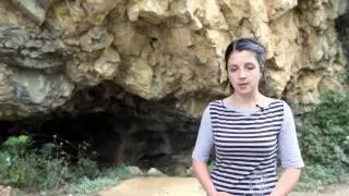 Enciklopedija Knjaževac - Baranica