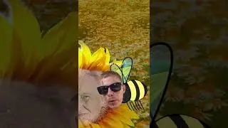 TUBETUS: Ismo Laitela mets&auml;st&auml;&auml; sokerimummoja #ismolaitela #rappiotube