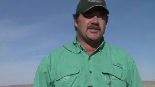 Cheatgrass on the Casper Property