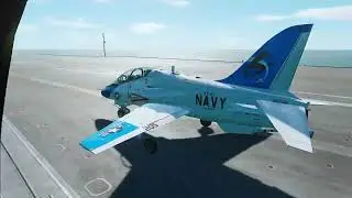 Landing in DCS until I get a girlfriend | Day 273