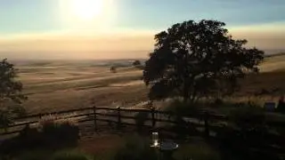 Penn Valley Real Estate: 530-635-1759 Home For Sales In Penn Valley