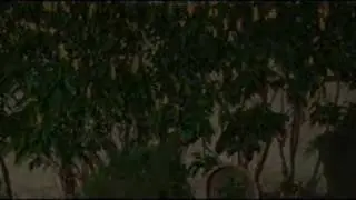 A Dama na &Aacute;gua