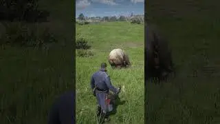 Mastering Survival Skill in Red Dead Redemption 2 #rdr2 #survivaltips #gamingshorts #gaming  #shorts