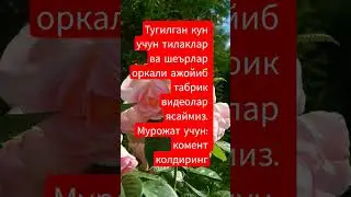 табрикларга буюртма оламиз #remix #dj #song #love #rek #ros&eacute; #тикток #юмор #blink