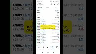 PyMart Trading Bot! Experience free connections and enhance your trading strategies today.