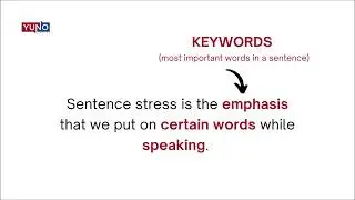 Sentence Stress in English | Yuno Learning