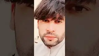 TikTok pashto viral song raees bacha song #shortvideo#pashtoattandance#pashtosaaz#viralvideos