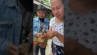 PROSESO NANG PAG NENEGOSYO SA FISHPOND NILA FRANULY @franuly18