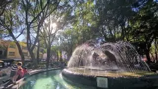 Watch the Coyotes of Ciudad de Mexico #coyote #mexico #fountain