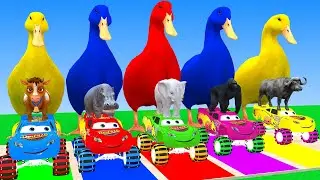Long Slide Game With Cow Elephant Gorilla Hippopotamus Tiger 3d Animal Game Funny 3d Animals