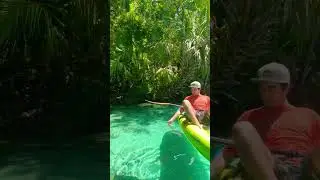 Exploring the Rainbow Springs in Florida🌿🦎 #nature #travel #springs #florida #explore #shorts