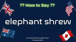 🐘 🐀 How to Pronounce elephant shrew? (CORRECTLY) | Pronunciation Planet