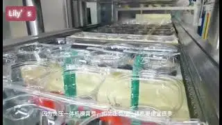 clear cupcake container #cupcakecontainers #cupcakebox #muffincontainers