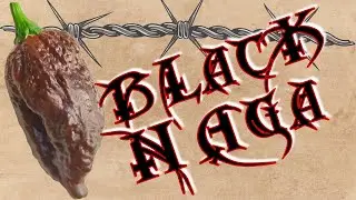Black Naga