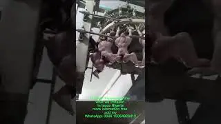 Automatic 1000BPH Chicken processing line