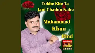Chari Dil Mohnji Toon