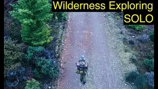 Intense Wilderness Expedition Into Black Bear Territory