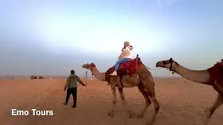 Book Giza pyramids Camel ride Tours during sunset with Emo Tours 