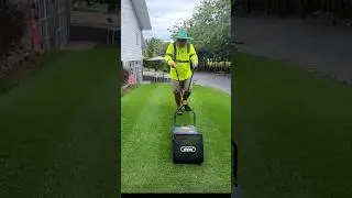 Lawn Striping ASMR | Webb Reel Mower on Real Zoysia Grass #shorts
