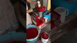 Traditional Italian Tomato Preserves | A Taste of Summer & Family