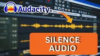 How to Silence Selected Audio in Audacity 2025?