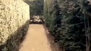 Chatsworth house garden maze race