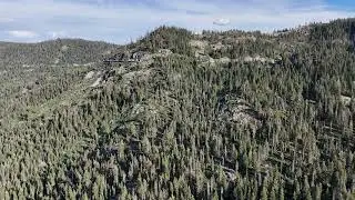 Donner Lake Scenic Overlook - July 2nd, 2025 #1