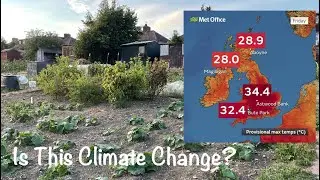 What's Happening At The Allotment? A Third UK Heatwave!- ALLOTMENT LIFE VLOG 75