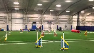 P1 jumpers Ocean