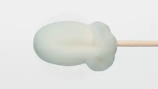 Texwipe TX700B Swab