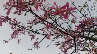  اليوم شاركت معاكم خريجة لشون منطق رائعه